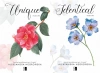 PAKIET Students 3-4 Identical + Unique Aleksandra Negrońska - Aleksandra Negrońska