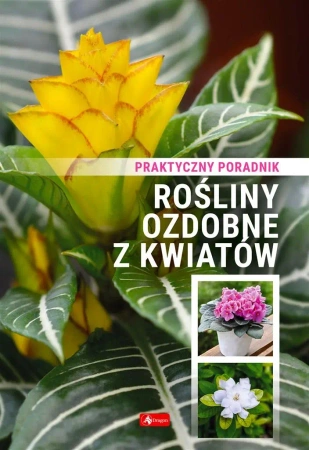 Rośliny ozdobne z kwiatów. Poradnik praktyczny - praca zbiorowa