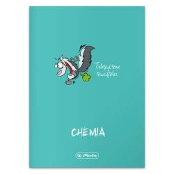 Zeszyt w kratkę A5 Herlitz 60 kartek