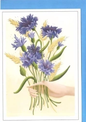 Karnet B6 Chabry dłoń - Henry