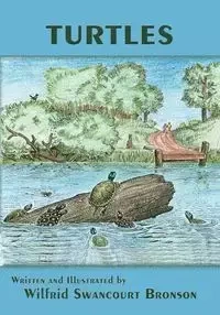 Turtles - Bronson Wilfrid Swancourt