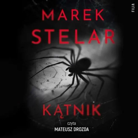 audiobook Kątnik - Marek Stelar
