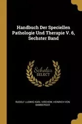 Handbuch Der Speciellen Pathologie Und Therapie V. 6, Sechster Band - Rudolf Karl Virchow Ludwig