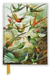 Notatnik A6 linia TW Kolibry Ernst Haeckel - Flame Tree