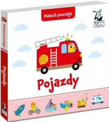 Kapitan Nauka Maluch poznaje. Pojazdy - praca zbiorowa