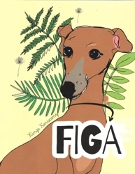 Figa - Kinga Konieczny