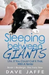 Sleeping between Giants - Dave Jaffe