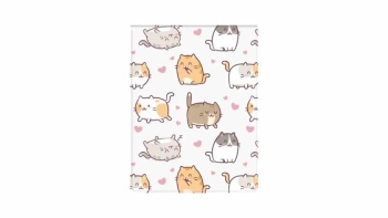 Okładka na dokumenty ucznia pion kittens - Biurfol