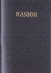 Kalendarz 2026 plastik MIX - KASTOR