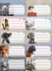 Naklejki na zeszyty pasek The Sweet Pets - Beniamin