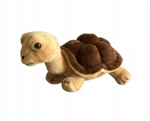 Maskotka żółw lądowy brązowy żółwik pluszowy Zoo