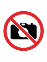 Gady zmieniające kolor SQUISHY TASTIC - Quint