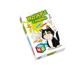 Piotruś i pamięć Przyjaciele z podwórka - Multigra