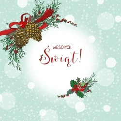 Karnet Swarovski kwadrat CL3502_PO Święta Stroik - Clear Creations