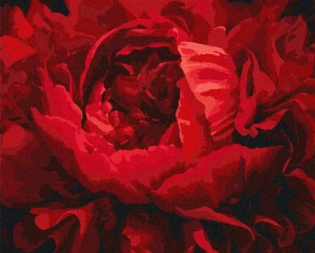 Malowanie po numerach - Wyśmienity kwiat 40x50cm - Ideyka
