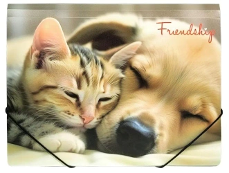 Teczka A4 PP na gumkę z nadrukiem Friendship - Panta Plast