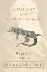 Reptiles - Part V - The Zoology of the Voyage of H.M.S Beagle - Charles Darwin