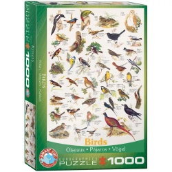 Puzzle 1000 elementów. Rodzinka ptaków