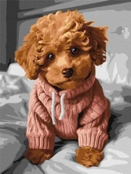 Malowanie po numerach - Magiczny Maltipoo 30x40cm - Ideyka