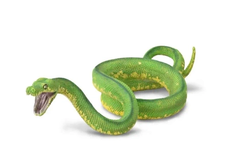 Pyton zielony - Collecta