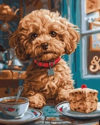 Malowanie po numerach - Maltipoo w kawiarni 40x50 - Ideyka