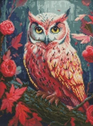 Diamentowa mozaika - Kolorowa sowa 30x40cm - Ideyka