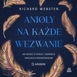 audiobook Anioły na każde wezwanie - Richard Webster