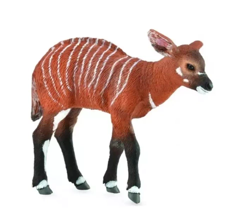 Krowa Bongo - Collecta