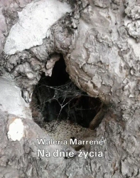 eBook Na dnie życia - Waleria Marrené-Morzkowska epub mobi
