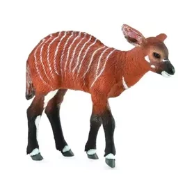 Krowa Bongo - Collecta