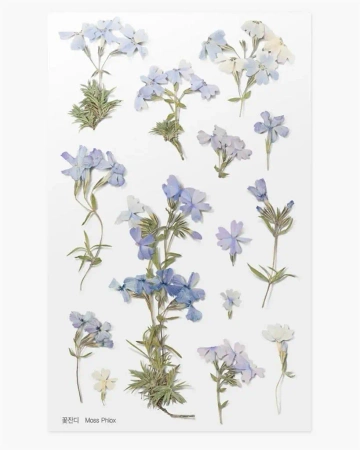 Naklejki ozdobne kwiaty - Floks - Appree