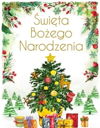 Święta Bożego Narodzenia. Wydanie ekskluzywne - Anna Paszkiewicz