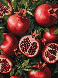 Malowanie po numerach - Granat w sekcji 30x40cm - Ideyka