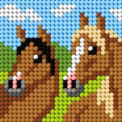 Haft. Moje pierwsze wyszywanie - Konie - Anex-bis