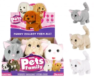 Kot Interakt B/o 13x17x15 Mc Disp 6/72