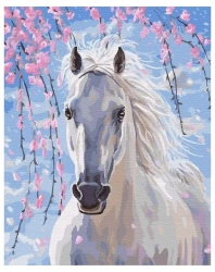 Malowanie po numerach - Biały koń 40x50cm - Twoje Hobby