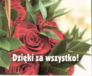 Perełka 191 - Dzięki za wszystko! - praca zbiorowa