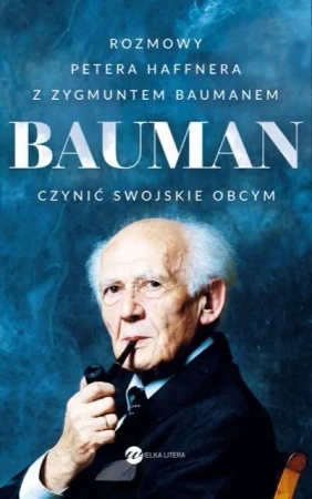 Bauman. Czynić swojskie obcym - Peter Haffner