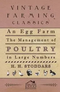An Egg Farm - The Management Of Poultry In Large Numbers - Stoddars H H.