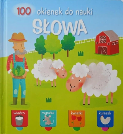 100 okienek do nauki. Słowa - praca zbiorowa