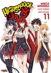 Highschool DxD. Tom 11 - Hiroji Mishima