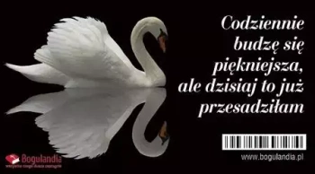 Magnes na lodówkę. Codziennie budzę się piękniejsza...