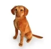 Wyżeł siedzący 44cm - Dubi