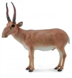 Suhak stepowy - Collecta