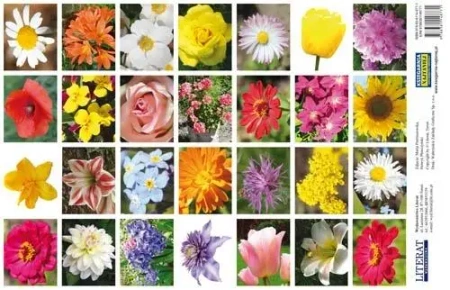 Naklejki. Kwiaty - LITERAT