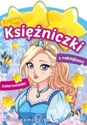 Niezapominajka. Księżniczki. Kraina magii - Opracowanie zbiorowe