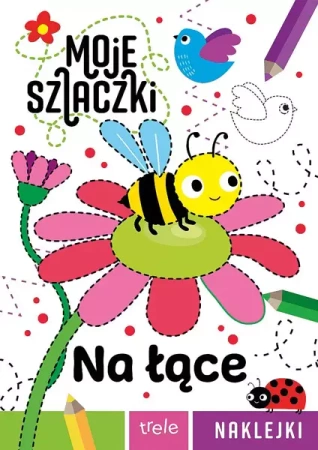 Na łące. Moje szlaczki - praca zbiorowa