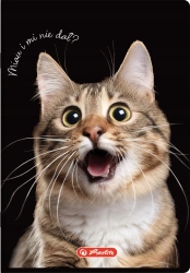 Zeszyt A5/80k kratka 70g Crazy Animal Her Fol A 5