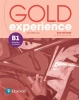 Gold Experience 2ed B1 WB PEARSON - Lindsay Warwick, Lucy Frino
