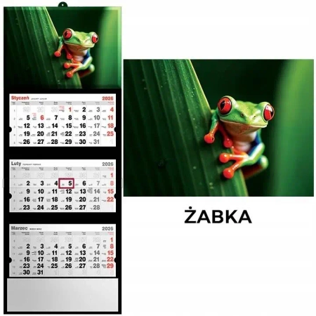 Kalendarz 2026 trójdzielny żaba - Evena